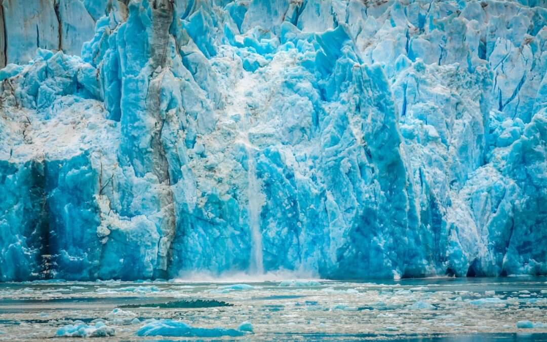 Alaska 2020!